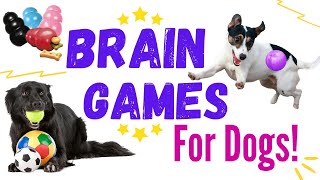 10 Easy Brain Games to Play with your Dog  Mental Stimulation for Dogs [upl. by Eimirej]