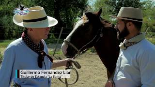 Bien Argentino  Programa 33  Criadero de Caballos Criollos quotLa Saritaquot [upl. by Ledua273]