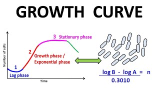 Growth curve [upl. by Armallas]