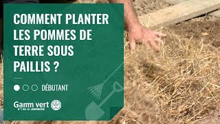 TUTO Comment planter les pommes de terre sous paillis   Jardinerie Gamm vert [upl. by Whitman]