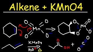 Alkene  KMnO4 Reaction [upl. by George]