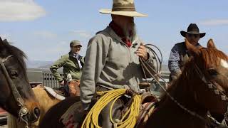 A Day in the Life of a West Texas Cowboy [upl. by Lyndy]