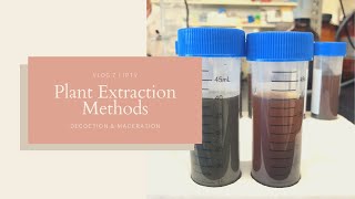 Plant Extraction Methods  Decoction and Maceration  JPTV [upl. by Irrab281]