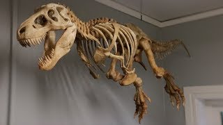 BIG 3D Printed TRex Skeleton [upl. by Nilyam]