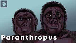 Paranthropus Evolution [upl. by Haletta481]