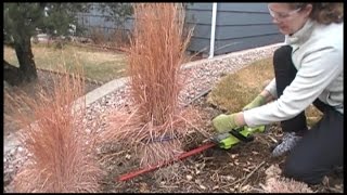 The BEST Way to Prune Ornamental Grasses [upl. by Fabri]