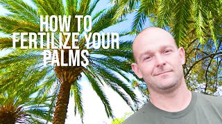 How To Fertilize Your Palms  ONeils Tree Service [upl. by Yemar]