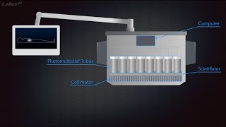 Gamma Camera Animation [upl. by Sherwin320]