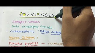 Poxviruses  Microbiology  Handwritten notes [upl. by Ellenor81]