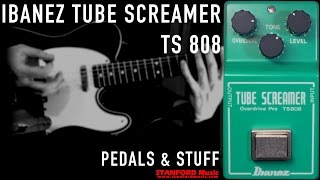 Ibanez TS808 Tube Screamer demo [upl. by Sirromed]