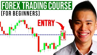 The Ultimate Forex Trading Course For Beginners [upl. by Nesnaj77]