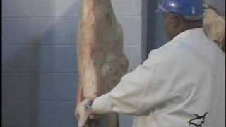 Beef Carcass Break Down 1  butcher [upl. by Pebrook]