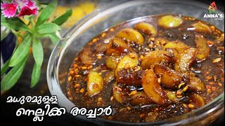 Sweet Nellikka Achaar l മധുരമുള്ള നെല്ലിക്ക അച്ചാർ l Sweet Gooseberry Pickle in Malayalam [upl. by Eicul538]