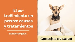 El estreñimiento en perros causas y tratamientos [upl. by Lenuahs]