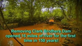 Clark Brothers Dam Removal  Quinnipiac River Restoration [upl. by Butterworth]