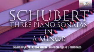 Schubert Three Piano Sonatas in A Minor [upl. by Ayotaj]