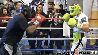 CANELO ALVAREZ WORKS SPARRING PARTNER WITH HIGH LEVEL COUNTER PUNCHING  FULL VIDEO [upl. by Zel]