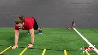 Agility Ladder Upper and Lower Body Circuit Training  Speed Performance [upl. by Peursem376]