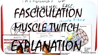 Muscle Twitch  Fasciculation Pathophysiology EXPLAINED [upl. by Llejk]