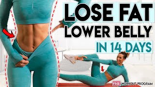 LOSE LOWER ABS FAT in 14 Days  5 minute Home Workout Program [upl. by Ahsineb543]