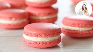 How to make Macarons  Perfect Macaron Recipe [upl. by Haelahk84]