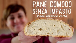 PANE COMODO FATTO IN CASA SENZA IMPASTO  Ricetta Facile Video Live versione corta [upl. by Skipp]