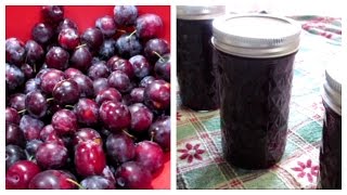 How to make Plum Jam  Canning Done Easy [upl. by Nehpets]