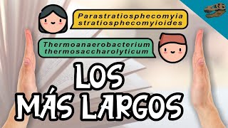 Los nombres científicos más LARGOS de la historia [upl. by Relyat465]