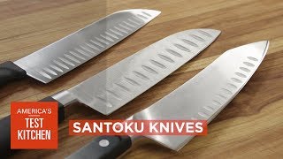 Equipment Review Best Santoku Knives amp Our Testing Winners [upl. by Pammy]