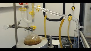 Steam Distillation Isolation of Clove Oil  Eugenol [upl. by Sutphin550]