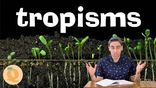 Plant Tropisms  For Kids [upl. by Enomyar]