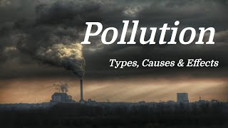 Pollution Mini Documentary Types  Causes  Effects [upl. by Einaled]