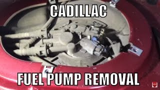 Cadillac Fuel Pump Removal [upl. by Idnem721]