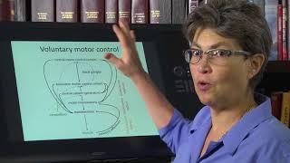 150 Introduction to Motor Control [upl. by Riebling]