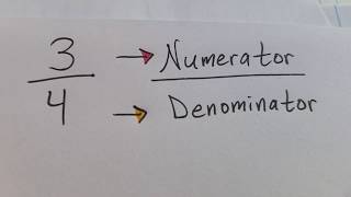 Fractions with Numerator and Denominator [upl. by Neeluqcaj]