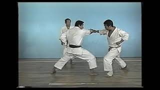 Bassai Dai Kata amp Bunkai [upl. by Anigroeg]