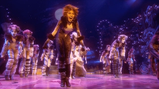 Broadway Montage  Cats the Musical [upl. by Liew116]