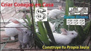 Cría de Conejos y Construcción de Jaula en Casa 2019 [upl. by Maag950]