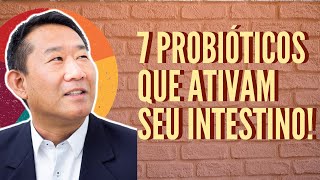 7 PROBIÓTICOS PARA IMUNIDADE  Muro 3  Dr Peter Liu [upl. by Ecnahoy272]