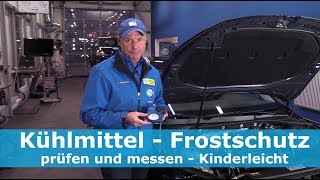 Kühlmittel  Frostschutz prüfen und messen  Kinderleicht [upl. by Somerset612]