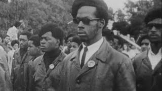 Who Were The Black Panthers Its Complicated  Newsy [upl. by Adnocahs654]