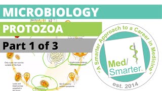 Protozoa  Microbiology  USMLE STEP 1  Part 1 of 3 [upl. by Vasiliki873]