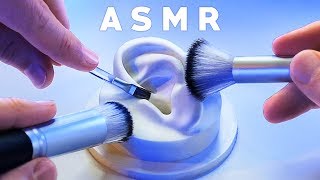 ASMR XXL Brushing amp Brushes ONLY Compilation NO TALKING Tingle Study Sleep Relax [upl. by Budd804]