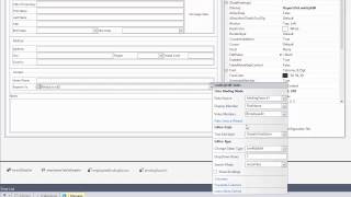 DevExpress WinForms Editors Layout Control [upl. by Saitam]