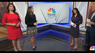 NBC4 New York Hotties On 092724 [upl. by Arbua]