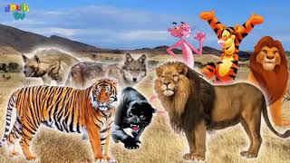 wild animals drulii tv finger family [upl. by Adneram]