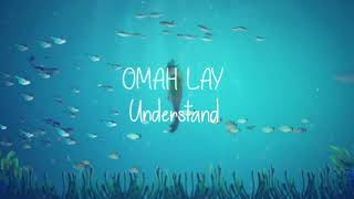 OMAH LAY  UNDERSTAND INSTRUMENTAL  AFROBEATS [upl. by Remy]