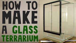 How to build a glass terrarium vivarium [upl. by Morly]