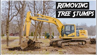 Removing Tree Stumps with Excavator  Heavy Equipment Operator [upl. by Dewey910]