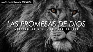 Las Promesas de Dios  Versiculos Biblicos Para Dormir [upl. by Casmey]